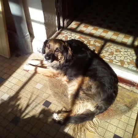 Bed & Breakfast La Forge