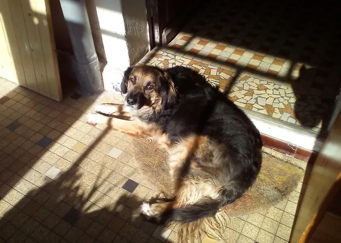 Bed & Breakfast La Forge